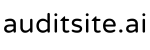 auditsite.ai — free website audit